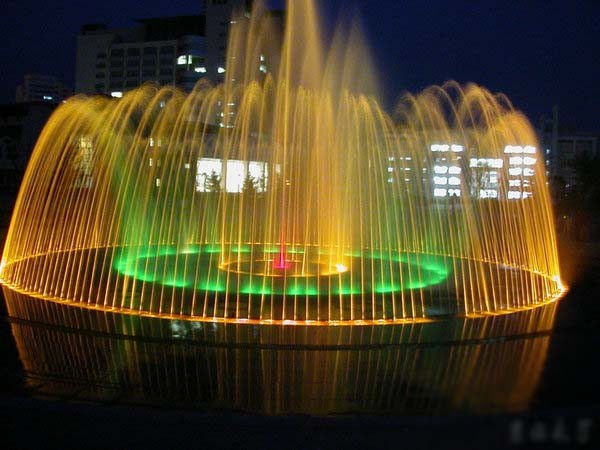 206.jpg